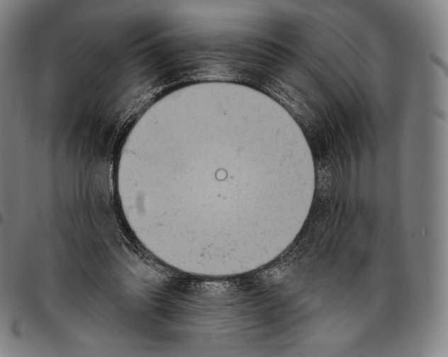 X0000096490302200802211244