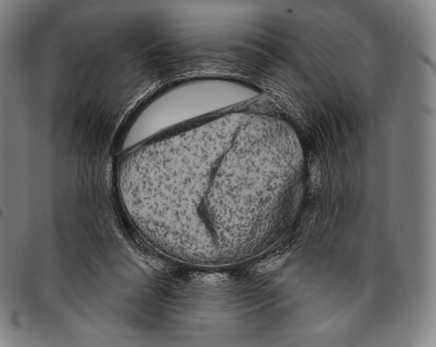 X0000096490304200802211244