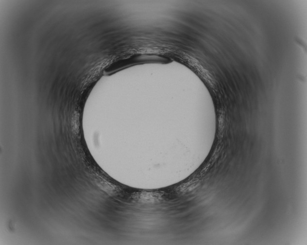 X0000096490305200802211244