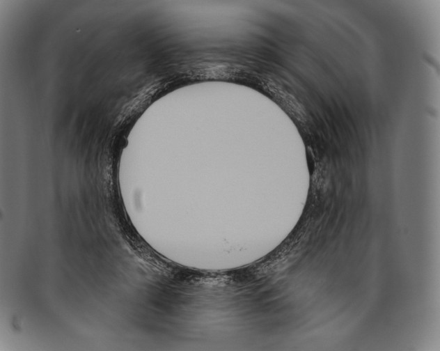 X0000096490306200802211244