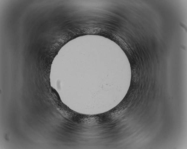 X0000096490307200802211244