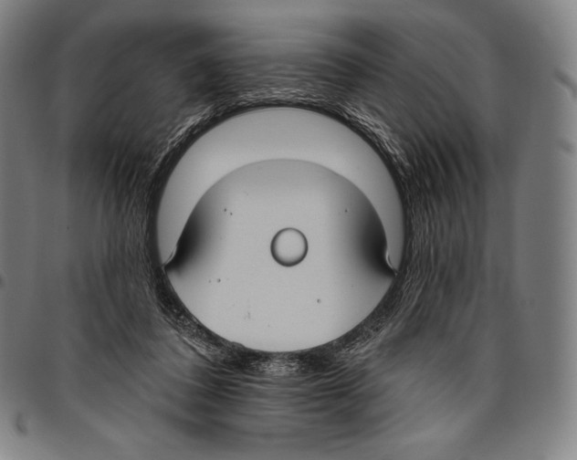 X0000096490308200802211244