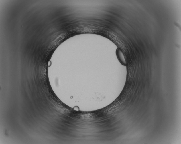 X0000096490309200802211244