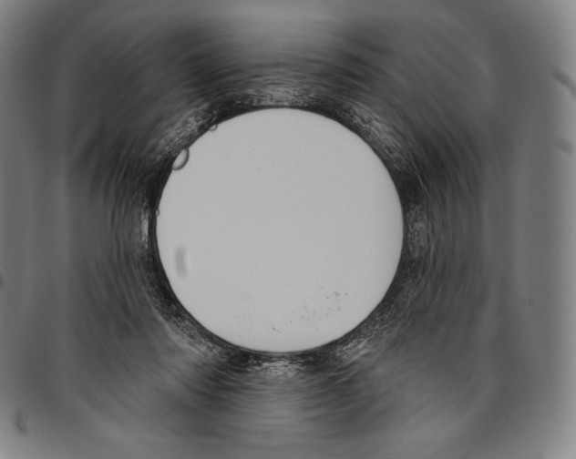 X0000096490310200802211244