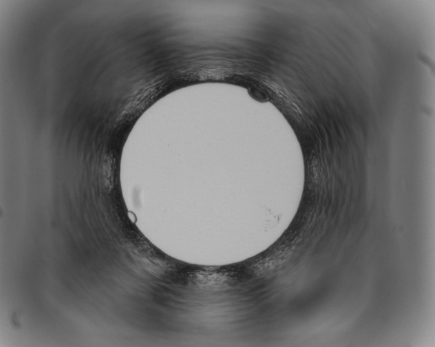 X0000096490311200802211244