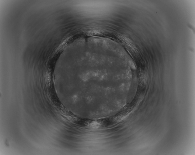 X0000096490312200802211244