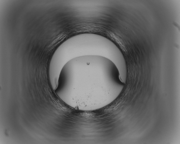 X0000096490313200802211244