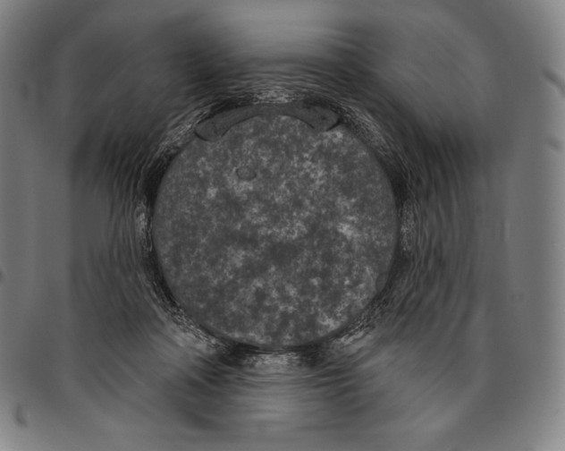 X0000096490314200802211244