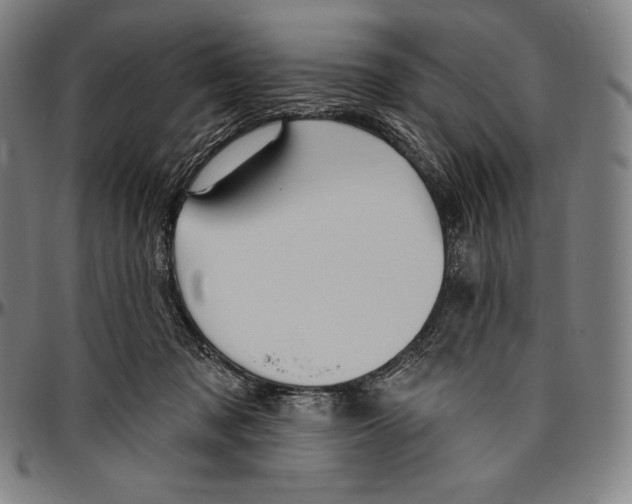 X0000096490317200802211244