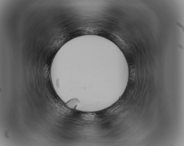 X0000096490318200802211244