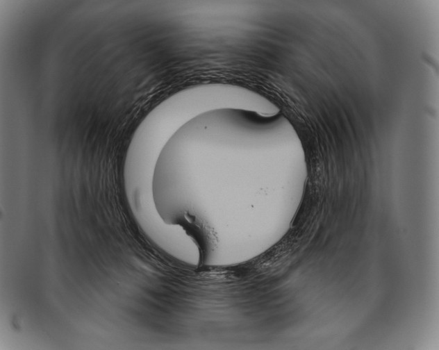 X0000096490320200802211244