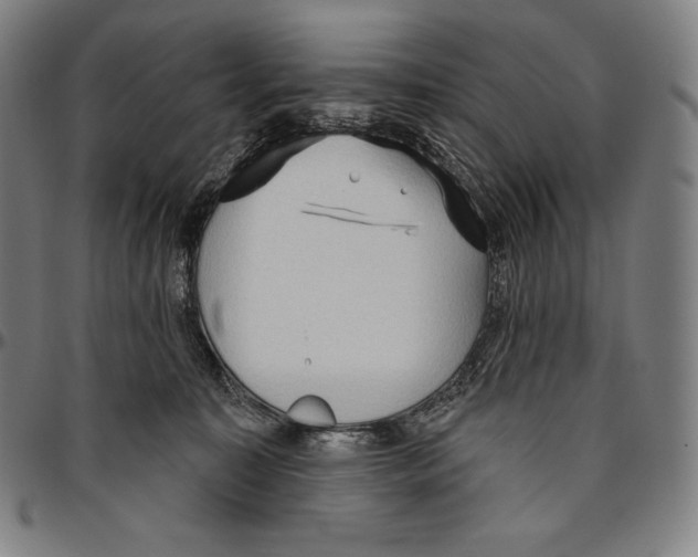 X0000096490323200802211244