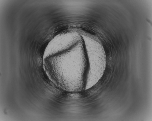 X0000096490324200802211244