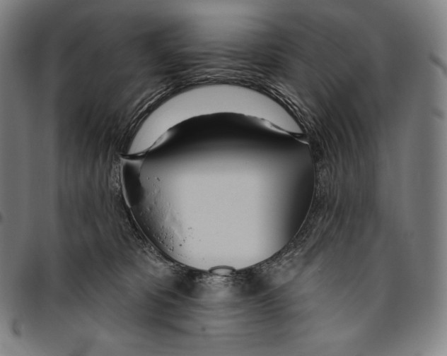 X0000096490325200802211244