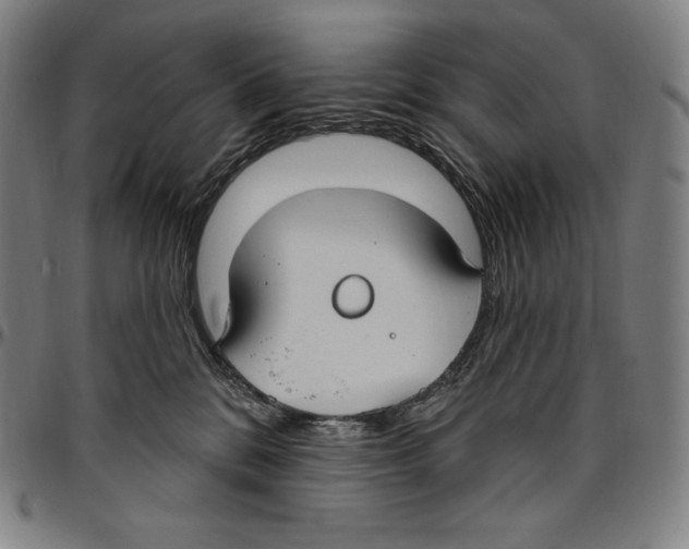 X0000096490328200802211244