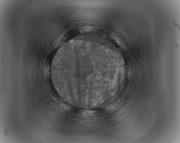 X0000096490332200802211243