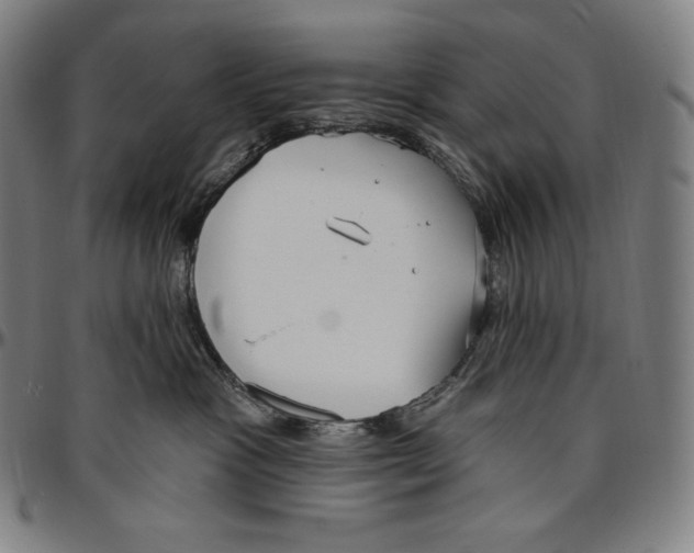 X0000096490333200802211243