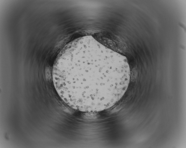 X0000096490335200802211243