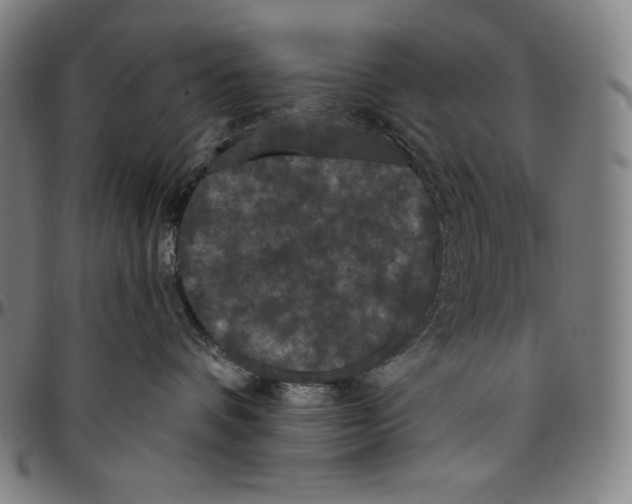 X0000096490336200802211243