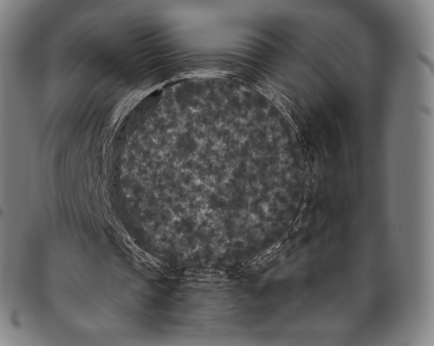 X0000096490337200802211243