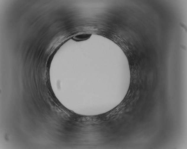 X0000096490338200802211243