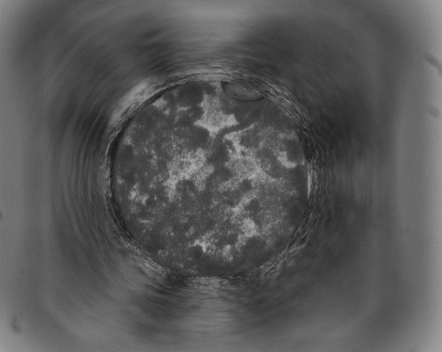 X0000096490339200802211243