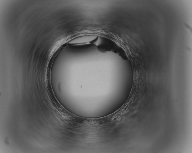 X0000096490340200802211243