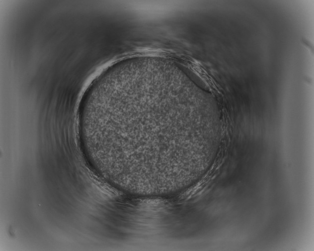 X0000096490342200802211243