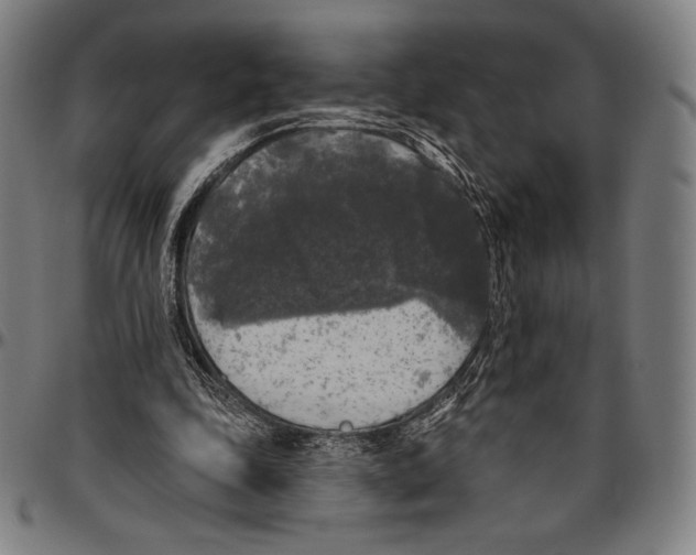 X0000096490343200802211243