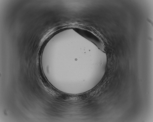 X0000096490344200802211243