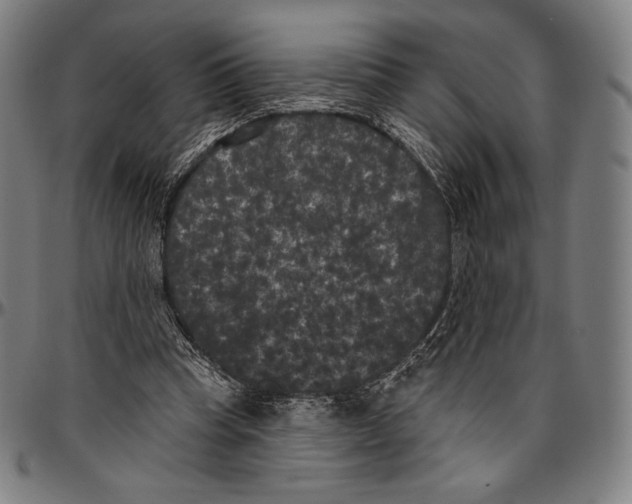 X0000096490345200802211243