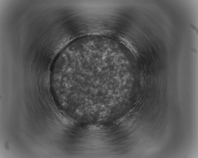 X0000096490346200802211243