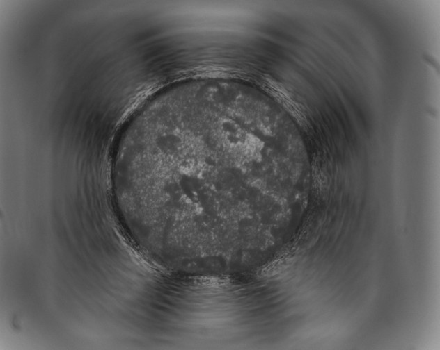 X0000096490347200802211243