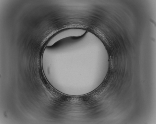 X0000096490348200802211243