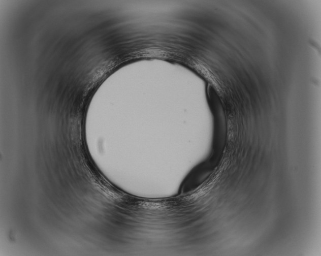 X0000096490349200802211243