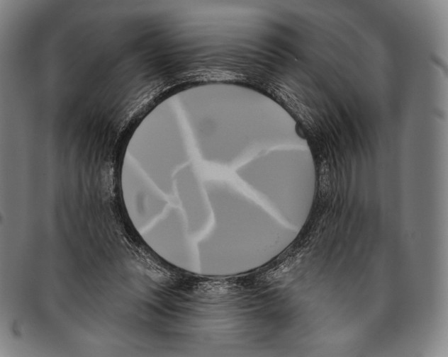 X0000096490351200802211243