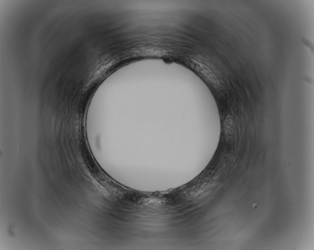 X0000096490352200802211243