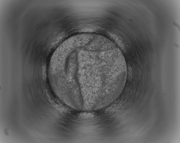 X0000096490354200802211243