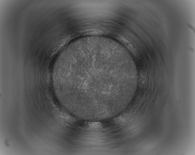 X0000096490355200802211243