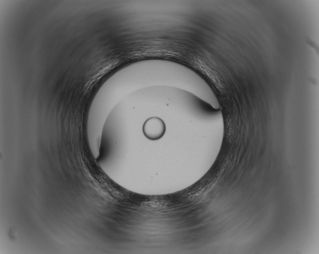 X0000096490356200802211243