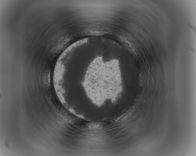 X0000096490358200802211243