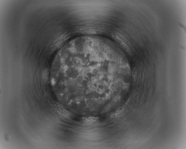 X0000096490359200802211243