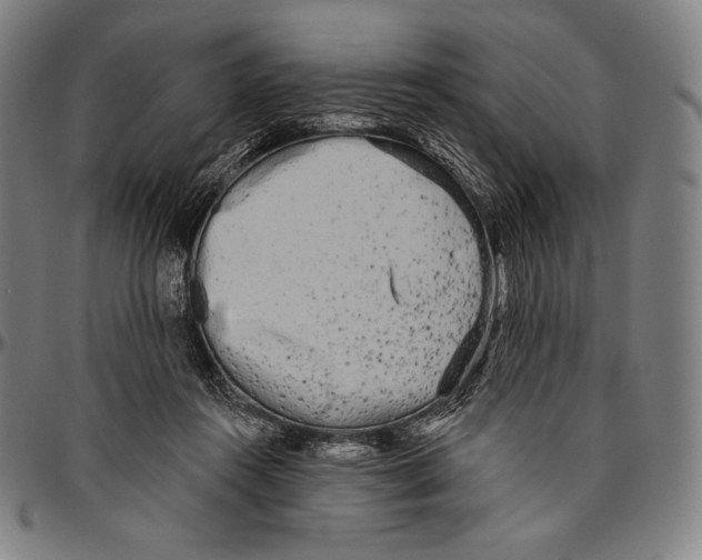 X0000096490360200802211243