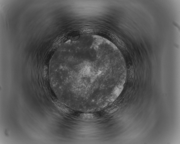 X0000096490361200802211243