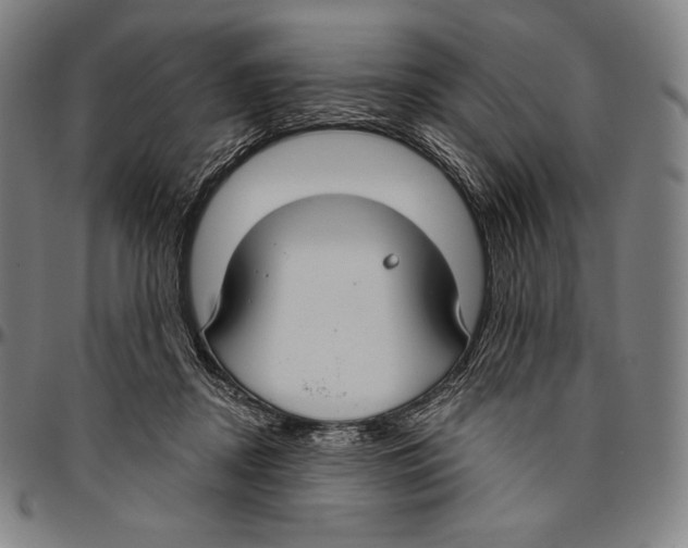 X0000096490362200802211243