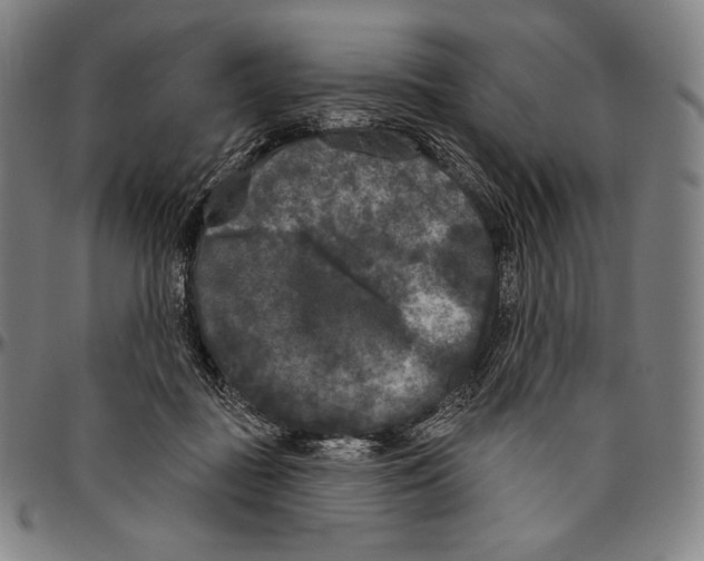 X0000096490363200802211243