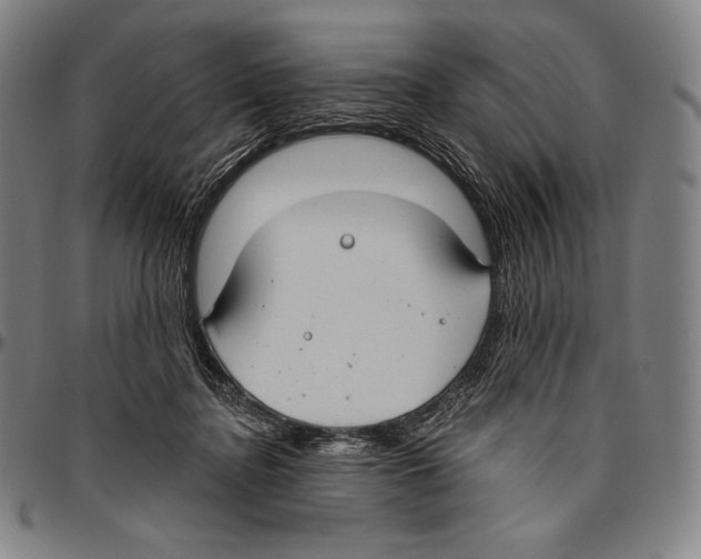 X0000096490364200802211243