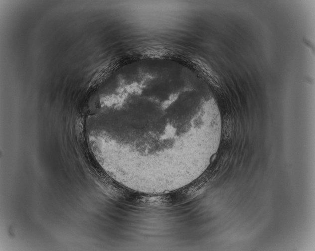 X0000096490365200802211243