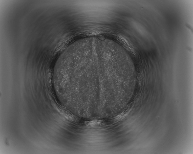 X0000096490366200802211243