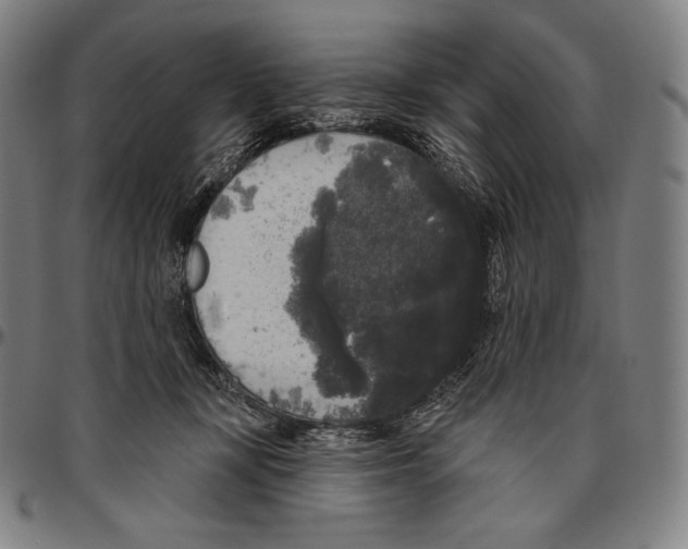 X0000096490367200802211243